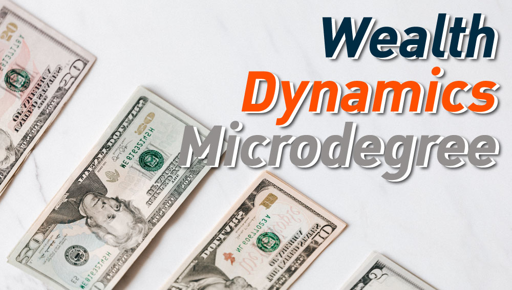 Wealth Dynamics Microdegree